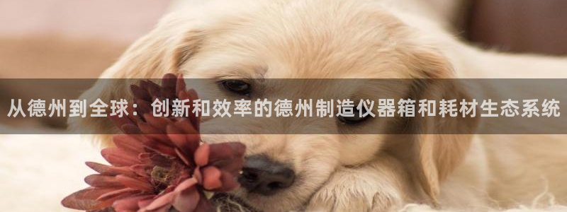 门徒娱乐是做什么的公司
