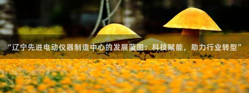 门徒娱乐网页版官网：“辽宁先进电动仪器制造中心的发展蓝图：科