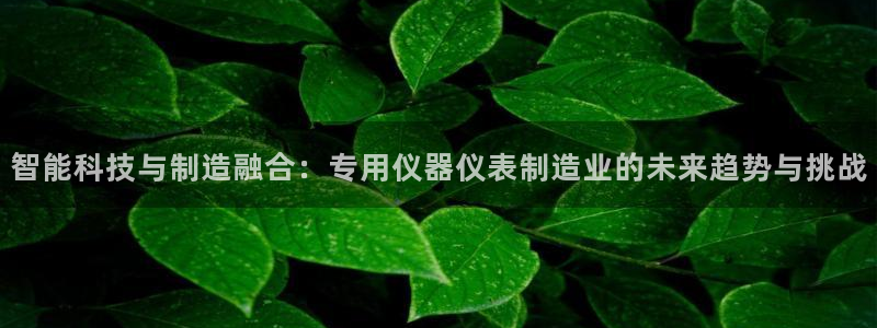 门徒娱乐主管39977l6视频：智能科技与制造融合：专用仪器