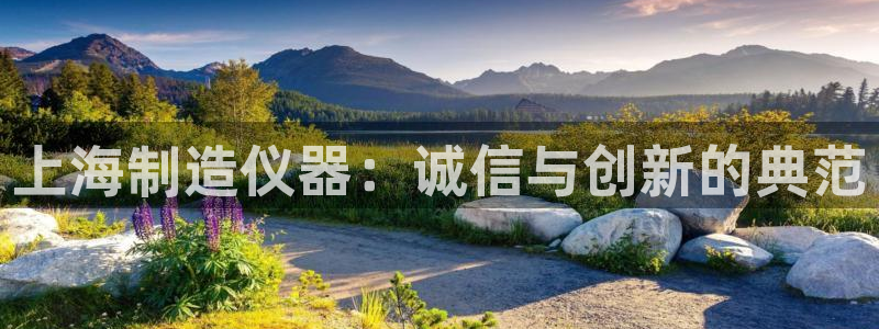 门徒娱乐成功案例：上海制造仪器：诚信与创新的典范