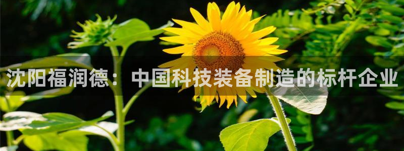 门徒娱乐平台注册地址：沈阳福润德：中国科技装备制造的标杆企业