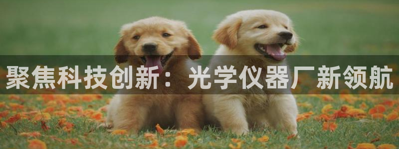 门徒娱乐平台注册时间：聚焦科技创新：光学仪器厂新领航