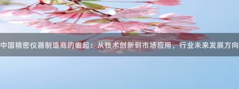万国觉醒娱乐门徒攻略：中国精密仪器制造商的崛起：从技术创新到