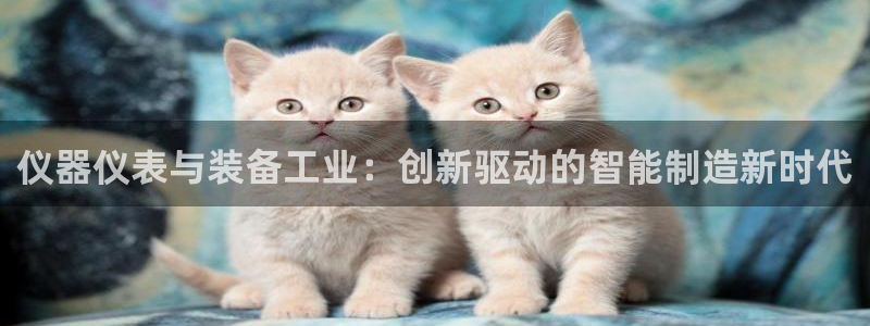 门徒娱乐登录地址在哪里查到的啊：仪器仪表与装备工业：创新驱动