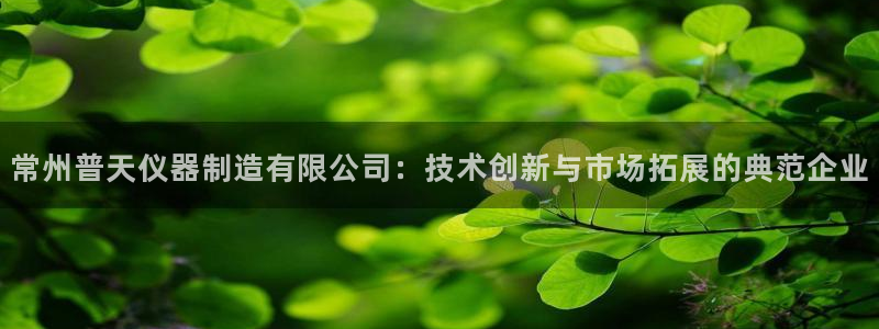 门徒娱乐公司介绍怎么写：常州普天仪器制造有限公司：技术创新与
