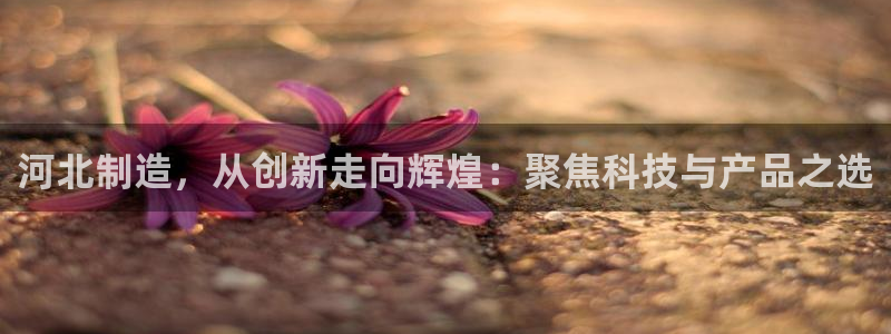 门徒娱乐网址：河北制造，从创新走向辉煌：聚焦科技与产品之选