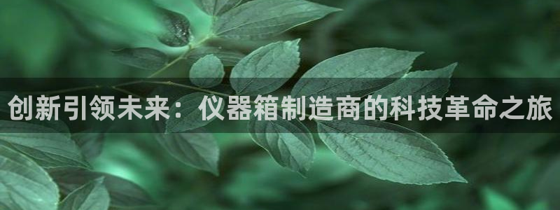 门徒娱乐是什么：创新引领未来：仪器箱制造商的科技革命之旅
