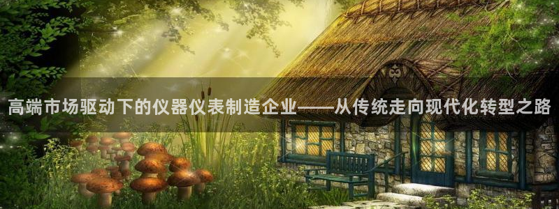 门徒娱乐怎么挂机不掉线：高端市场驱动下的仪器仪表制造企业——