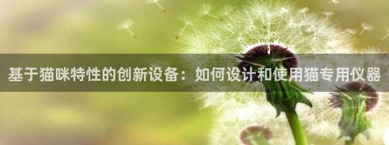 网易娱乐门徒：基于猫咪特性的创新设备：如何设计和使用猫专用仪