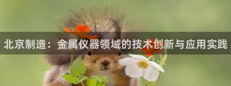 门徒娱乐登录平台官网：北京制造：金属仪器领域的技术创新与应用