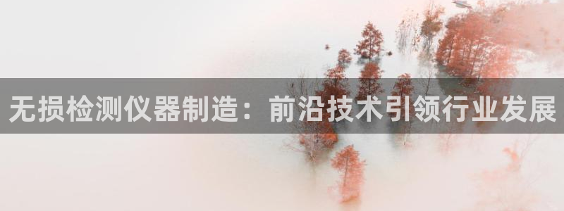 门徒娱乐测速地址：无损检测仪器制造：前沿技术引领行业发展