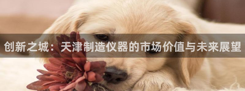 门徒六娱乐：创新之城：天津制造仪器的市场价值与未来展望