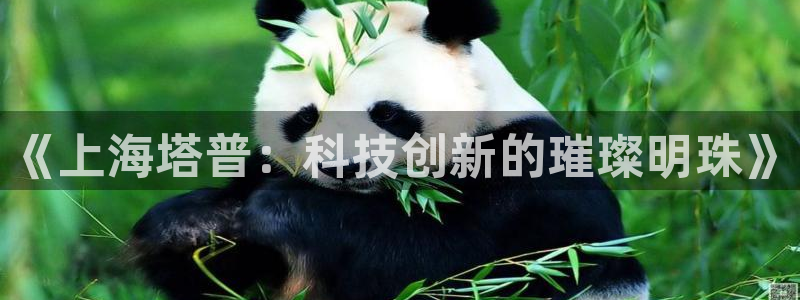 门徒娱乐平台代理公司：《上海塔普：科技创新的璀璨明珠》