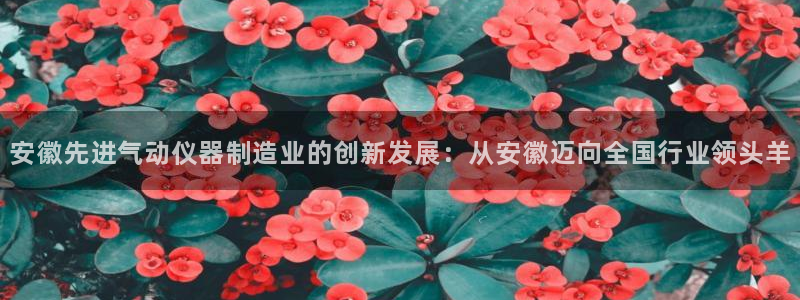 门徒娱乐天：安徽先进气动仪器制造业的创新发展：从安徽迈向全国
