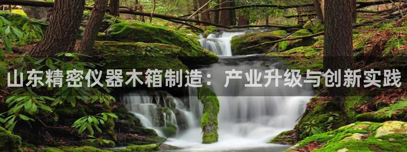 东莞门徒娱乐：山东精密仪器木箱制造：产业升级与创新实践