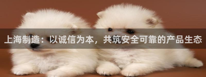 门徒娱乐手机登录版下载：上海制造：以诚信为本，共筑安全可靠的