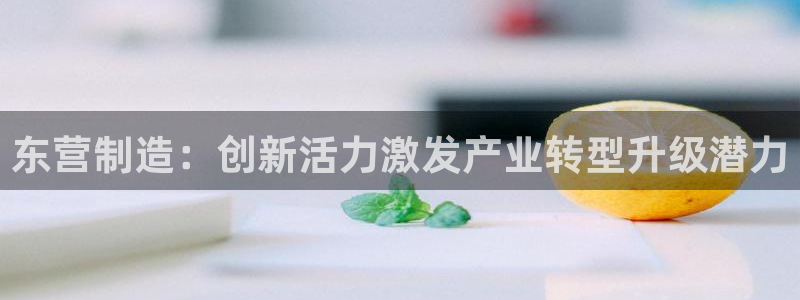 门徒娱乐找527b.cn升哥：东营制造：创新活力激发产业转型