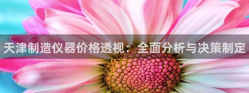 门徒娱乐负责人：天津制造仪器价格透视：全面分析与决策制定