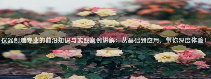 门徒娱乐去看判官333OO：仪器制造专业的前沿知识与实践案例
