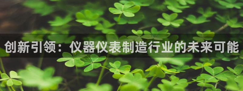 门徒娱乐统究7276O：创新引领：仪器仪表制造行业的未来可能