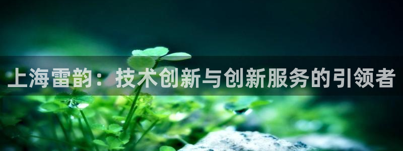 门徒娱乐项目介绍怎么写：上海雷韵：技术创新与创新服务的引领者