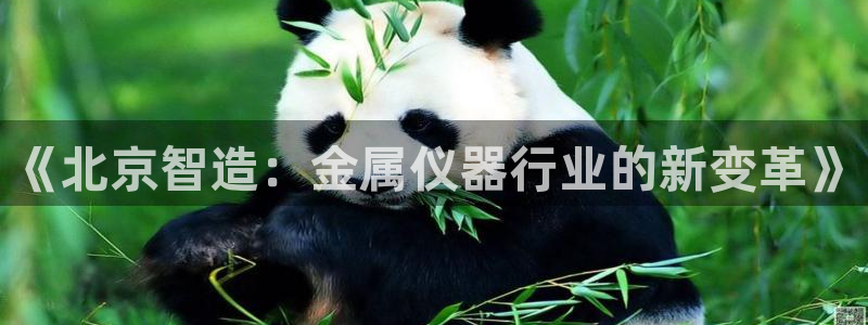 门徒娱乐总代理怎么样：《北京智造：金属仪器行业的新变革》