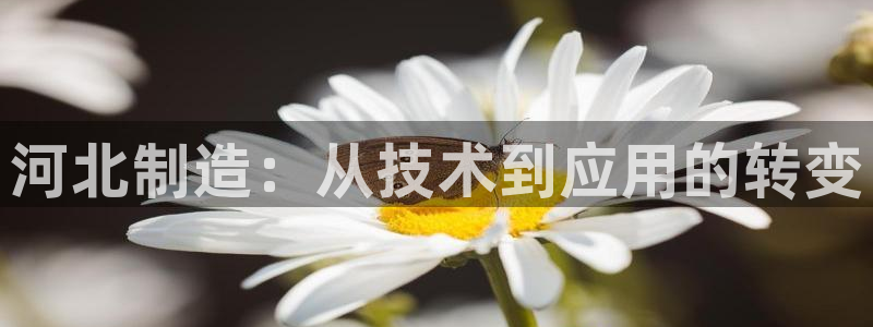 门徒娱乐登录平台是什么：河北制造：从技术到应用的转变