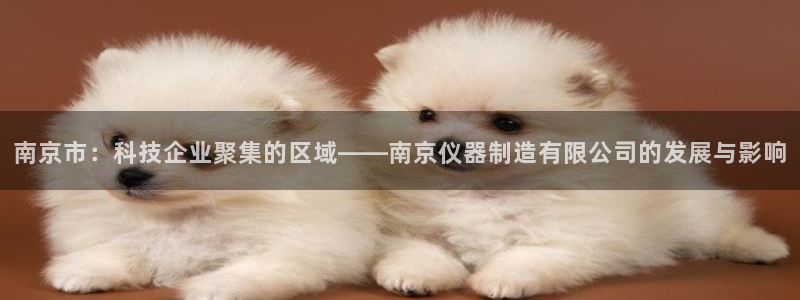 门徒娱乐是个什么平台：南京市：科技企业聚集的区域——南京仪器