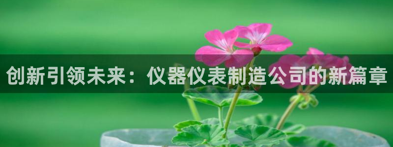 门徒娱乐找37997筘：创新引领未来：仪器仪表制造公司的新篇