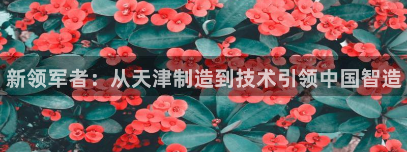 门徒娱乐怎么打不开网页了：新领军者：从天津制造到技术引领中国