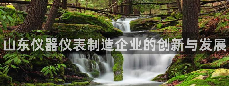 门徒娱乐手机登录不了吗：山东仪器仪表制造企业的创新与发展