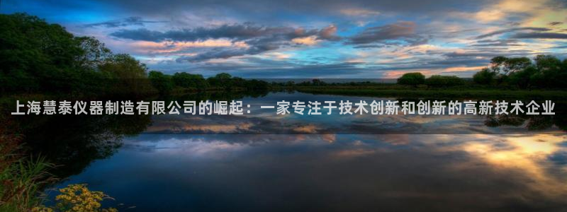 门徒娱乐手机登录不上去：上海慧泰仪器制造有限公司的崛起：一家