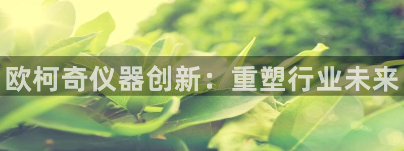 门徒娱乐平台骗子：欧柯奇仪器创新：重塑行业未来