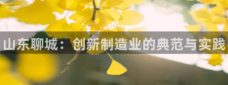 门徒娱乐招商47344：山东聊城：创新制造业的典范与实践