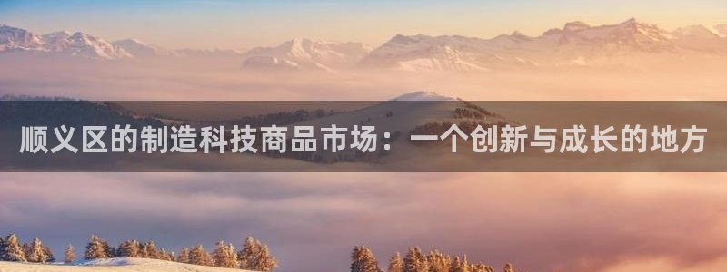 娱乐门徒王梓均是谁：顺义区的制造科技商品市场：一个创新与成长