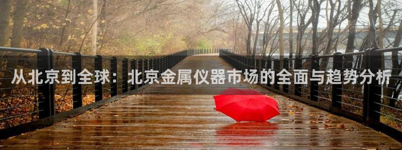 门徒娱乐总代理怎么样呀：从北京到全球：北京金属仪器市场的全面