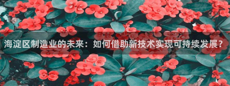 门徒娱乐什么平台直播好：海淀区制造业的未来：如何借助新技术实