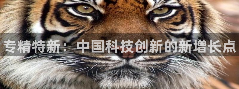 门徒第娱乐测速：专精特新：中国科技创新的新增长点