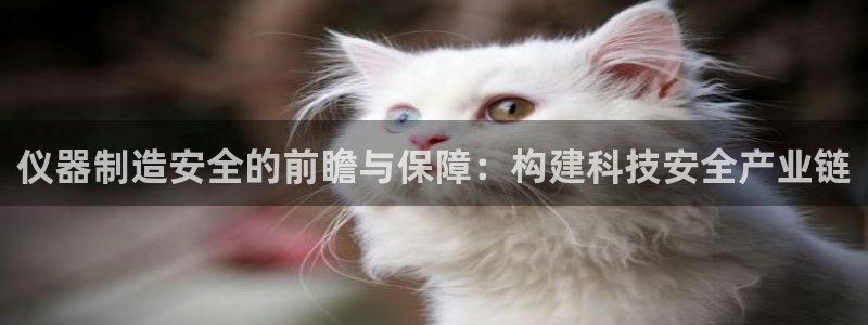 门徒娱乐主管用去判官333OO：仪器制造安全的前瞻与保障：构