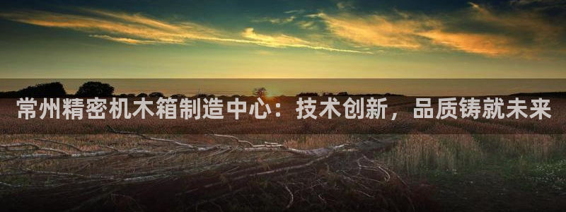 门徒娱乐招商停判官333OO：常州精密机木箱制造中心：技术创
