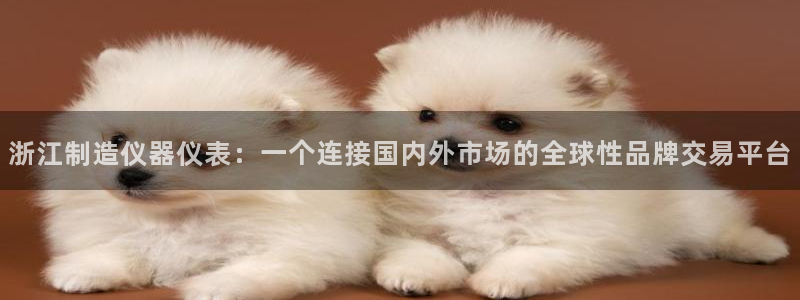 门徒娱乐发展趋势：浙江制造仪器仪表：一个连接国内外市场的全球