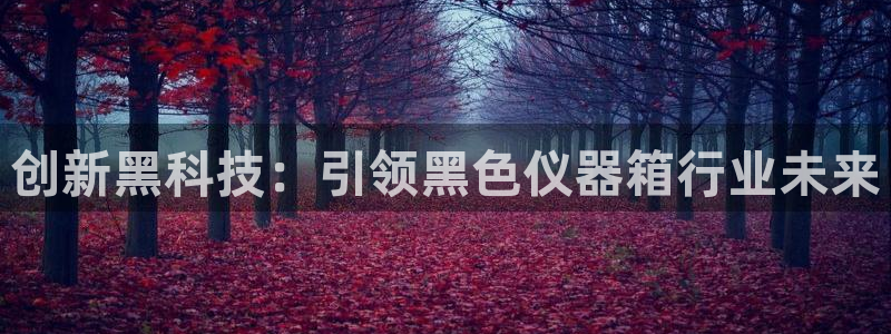 门徒娱乐期看判官333OO：创新黑科技：引领黑色仪器箱行业未