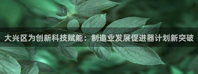 和娱乐门徒相似的小说：大兴区为创新科技赋能：制造业发展促进器