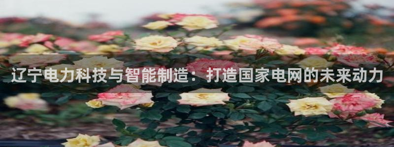 门徒娱乐最狠的三个平台：辽宁电力科技与智能制造：打造国家电网
