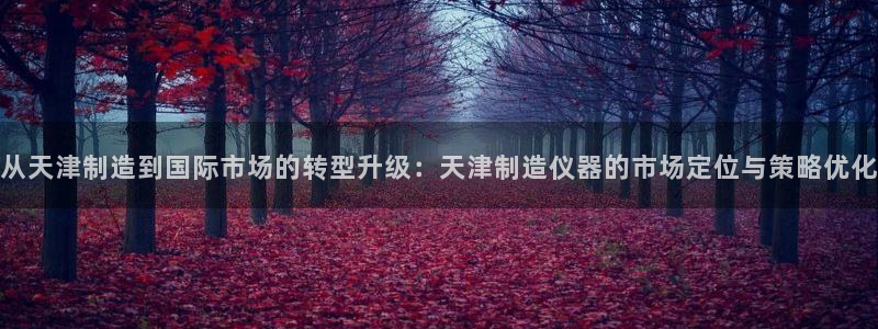 门徒娱乐官方地址下载：从天津制造到国际市场的转型升级：天津制