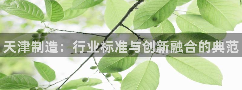 门徒娱乐登录注册不了：天津制造：行业标准与创新融合的典范