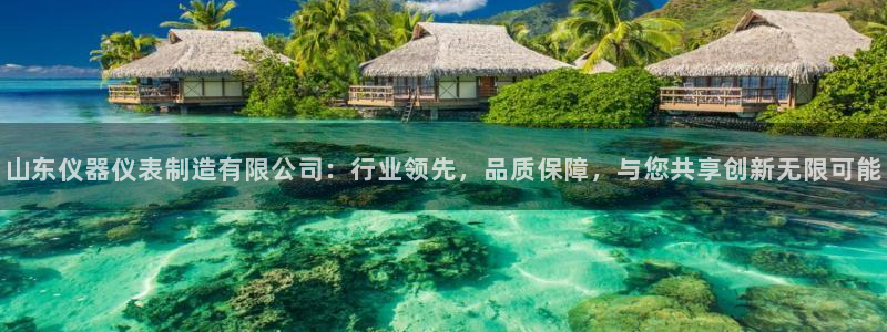 门徒娱乐靠谱吗：山东仪器仪表制造有限公司：行业领先，品质保障