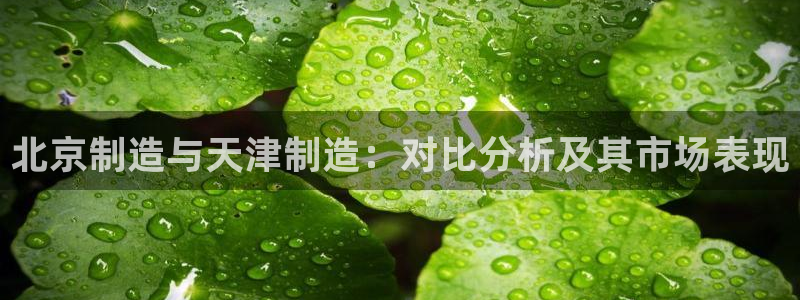 拉菲旗下的门徒娱乐公司：北京制造与天津制造：对比分析及其市场
