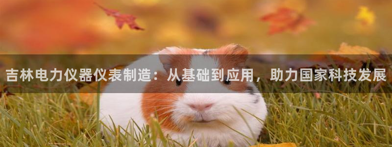 门徒娱乐彩票官网：吉林电力仪器仪表制造：从基础到应用，助力国