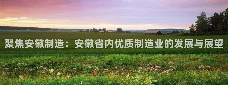 门徒娱乐会不会突然倒闭：聚焦安徽制造：安徽省内优质制造业的发